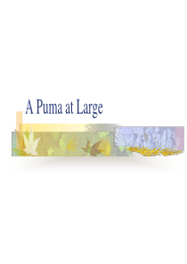 北京大学研究生英语课件：lesson-1-A-Puma-at-Large