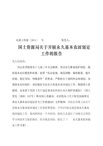 国土资源局关于永久性基本农田划定工作的报告