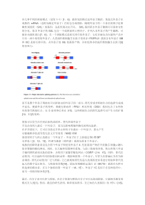 有几种不同的剪接模式见116。最常见的模式是外