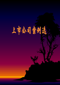 上市公司案例
