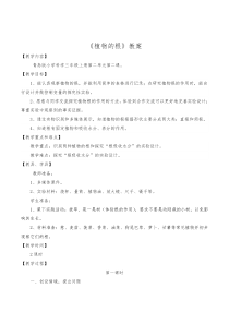 植物的根(青岛版科学三年级上册)教案