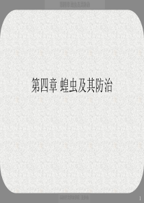 《蝗虫及其防治》PPT课件