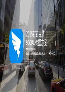 2015钉钉Social传播方案琥珀传播