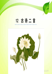 课文12古诗二首PPT课件部编版一年级下册语文课件