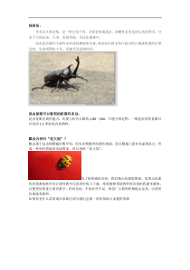 文字说明12教学设计教学反思同步练习有答案部编版小学语文三年级下册教案教学反思同步练习