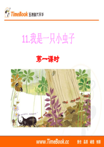 我是一只小虫子ppt课件部编版语文二年级下册课件