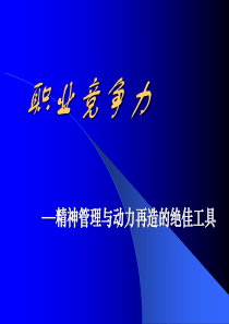 职业竞争力—精神管理与动力再造的绝佳工具