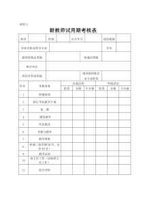 新教师试用期考核表