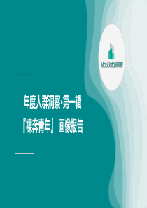 MobData无房无车月薪1万的裸奔青年画像报告2019117页