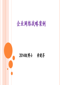 企业网络战略案例-hxf