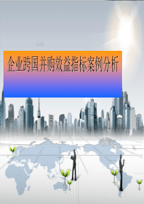 企业跨国并购效益指标案例分析(2)