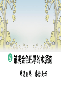 5-铺满金色巴掌的水泥道(第2课时)