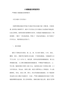 小城镇建设调查报告