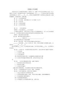 一人有限公司章程工商局正规样本doc模板