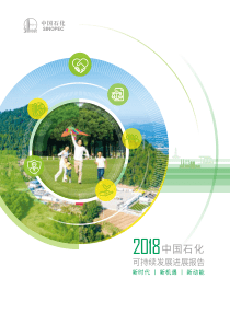 中石化2018中国石化可持续化发展报告2019438页
