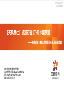 2017年H1中期策略消费升级下的互联网融合旅游资源整合