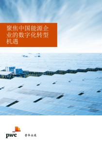 普华永道聚焦中国能源企业的数字化转型机遇2019610页
