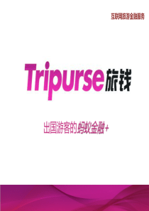 旅钱互联网旅游金融服务9页
