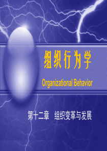 组织变革与发展