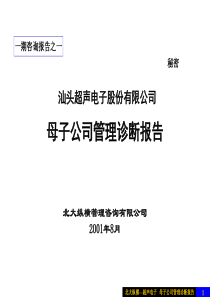 北大纵横-超声电子母子公司管理
