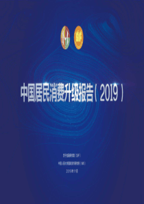 2019中国居民消费升级报告苏宁金融人大20191157页
