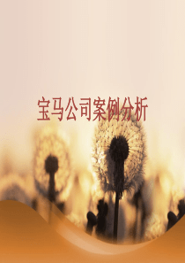 宝马公司案例分析_2