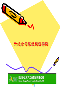 四川升达林产工业集团有限公司系统规划案例