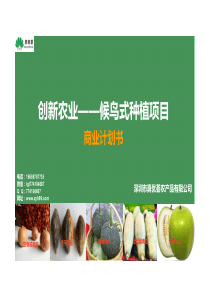 020创新农业候鸟式种植商业计划书25页