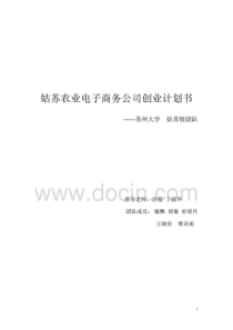 025姑苏农业商业计划书100页