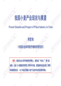 2019中国农业展望大会中国小麦产业现状与展望肖世和中国农业科学院作物科学研究所研究员2019424