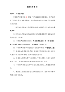 某县城一号大道道路工程技术标方案