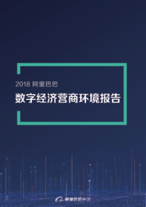 阿里巴巴数字经济营商环境报告2019548页