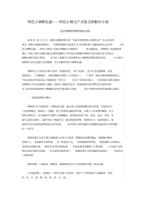 12特色小镇孵化器特色小镇全产业链全程解决方案