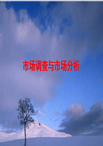市场调查与市场分析(第二版)