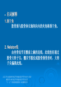 第8章下肢4-名词、问答