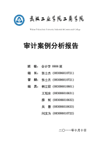 审计案例分析报告-