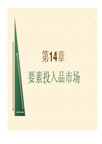 平狄克微观经济学第14章要素投入品市场