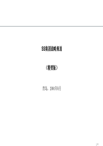罗兰贝格—山东某大型集团战略报告