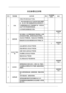 安全标准化自评表