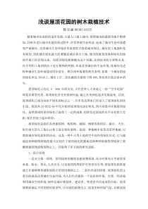 屋顶绿化树木栽植技术