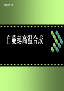 8自蔓延合成讲解