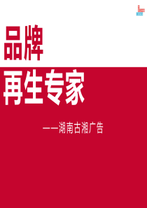 湖南本土成功案例最多的广告公司