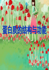 蛋白质的结构和功能