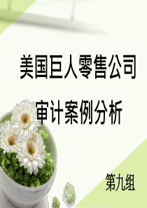 美国巨人零售公司审计案例分析