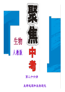 人教版中考生物讲练课件第26讲生命起源和生物进化