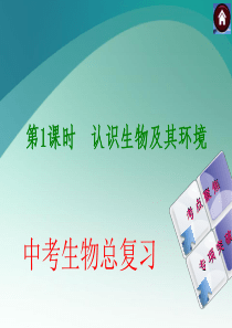 人教版生物中考总复习课件