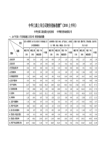 中华工商上市公司财务指标指数(XXXX上半年)