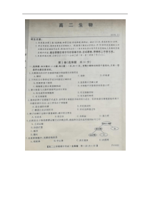 辽宁省朝阳市朝阳县柳城高中20192020学年高二上学期期中考试生物试卷答案