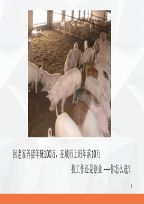 就业与创业PPT