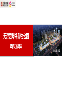 天津爱琴购物公园定位建议